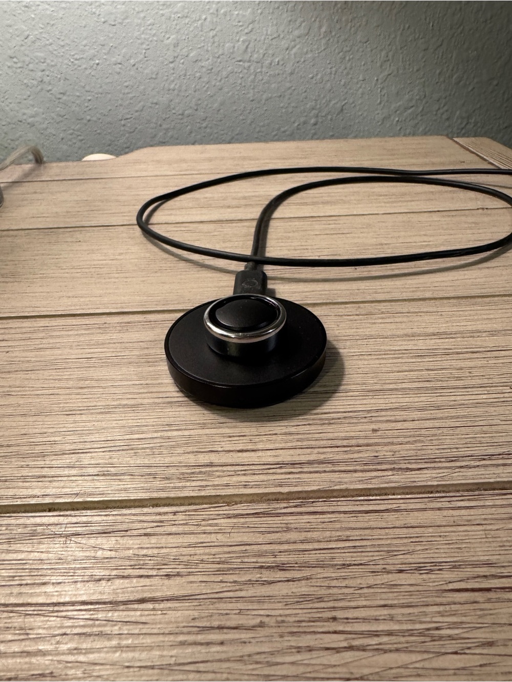 Oura Ring Gen 3 horizion silver